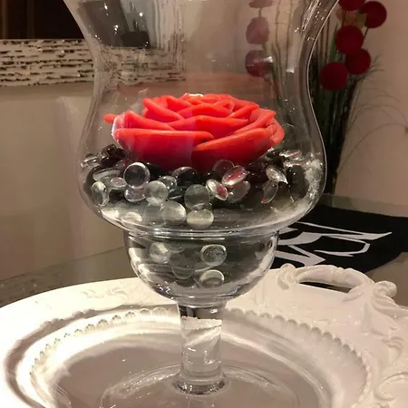 Vakantiehuis Msdimorasuite